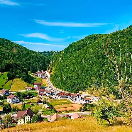 Cheile Gradistei Moieciu